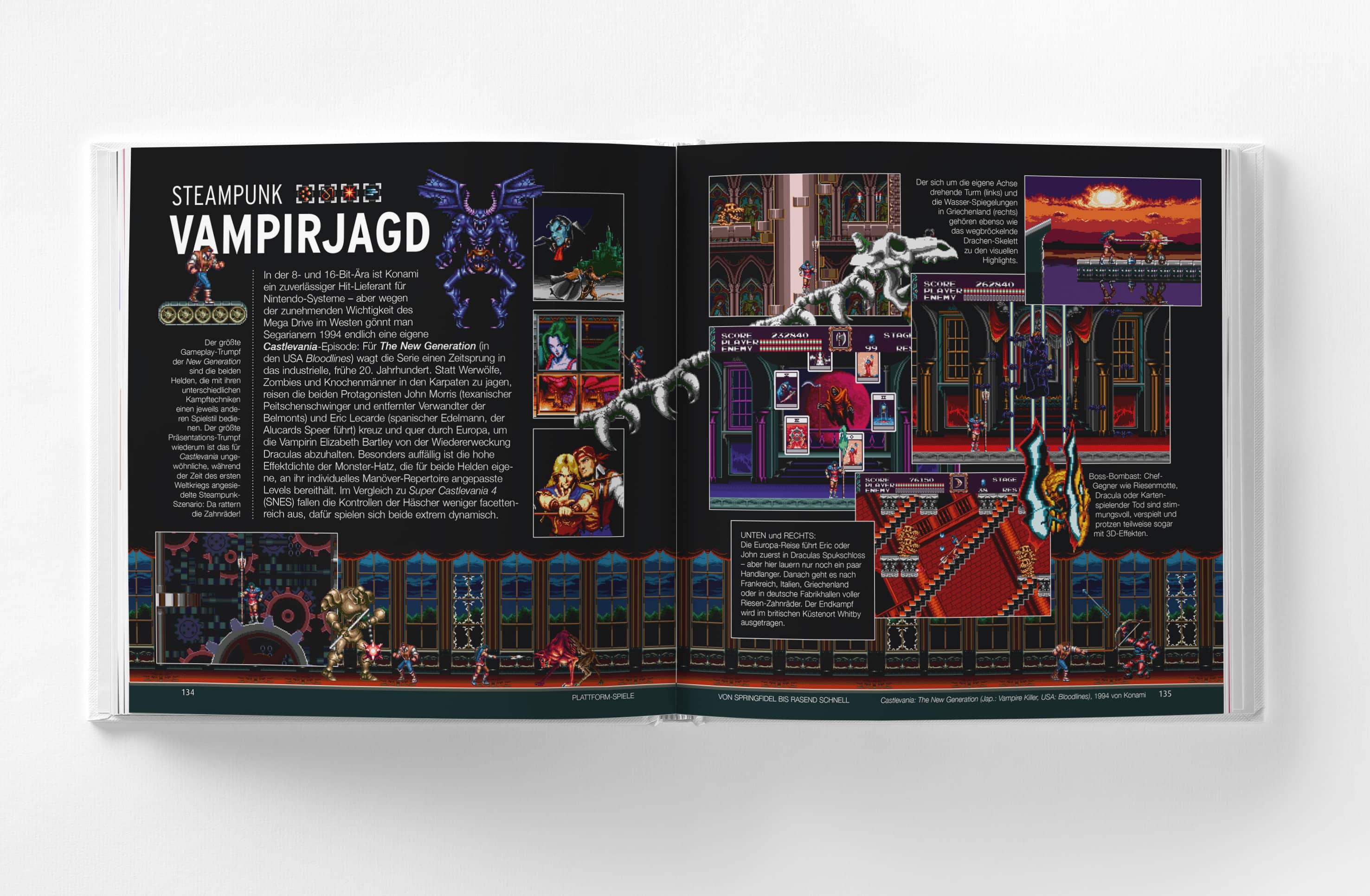 Mega Drive Pixelbuch - Fotos Leseprobe