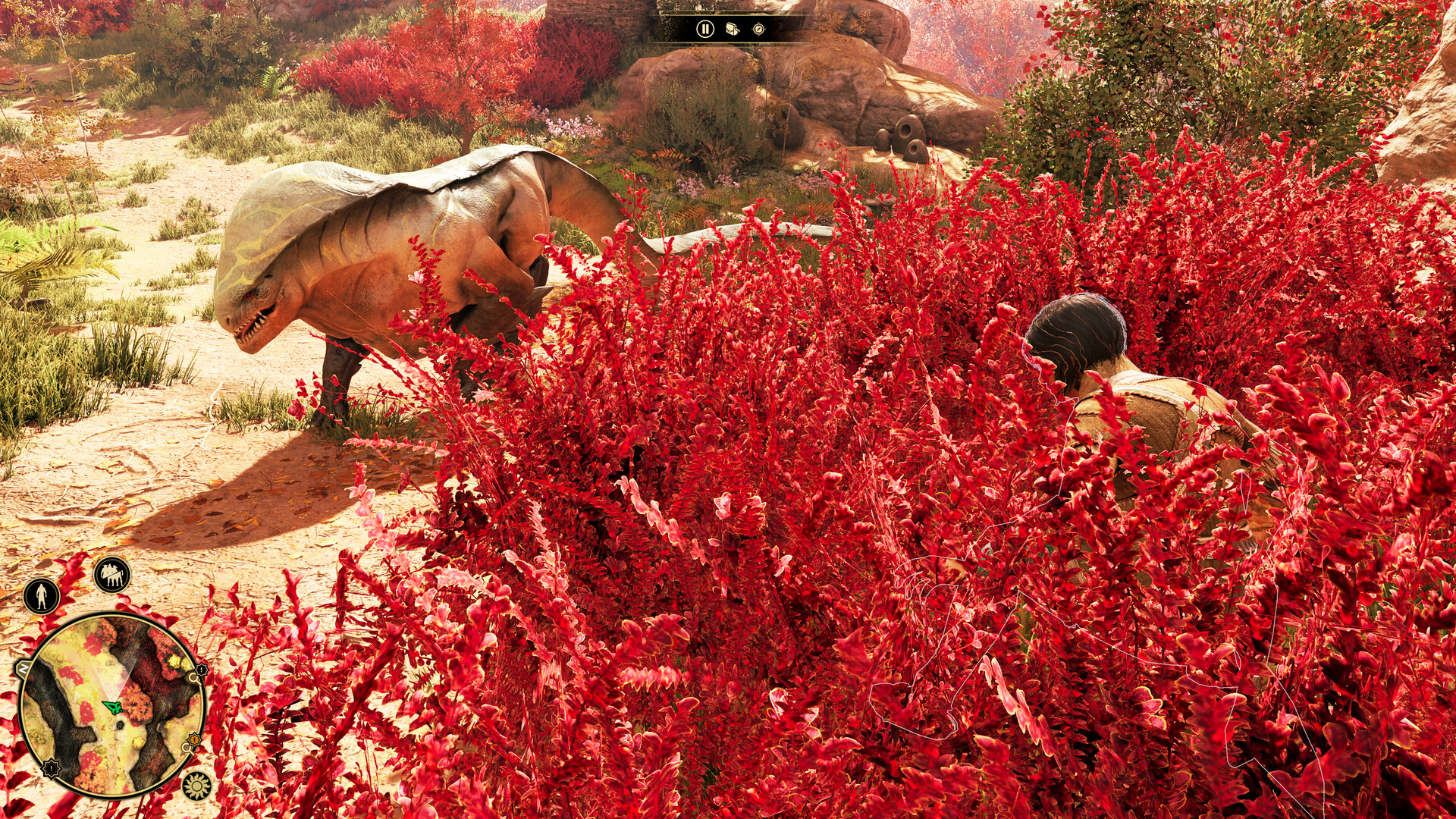 GreedFall: The Dying World Screenshots Bilder