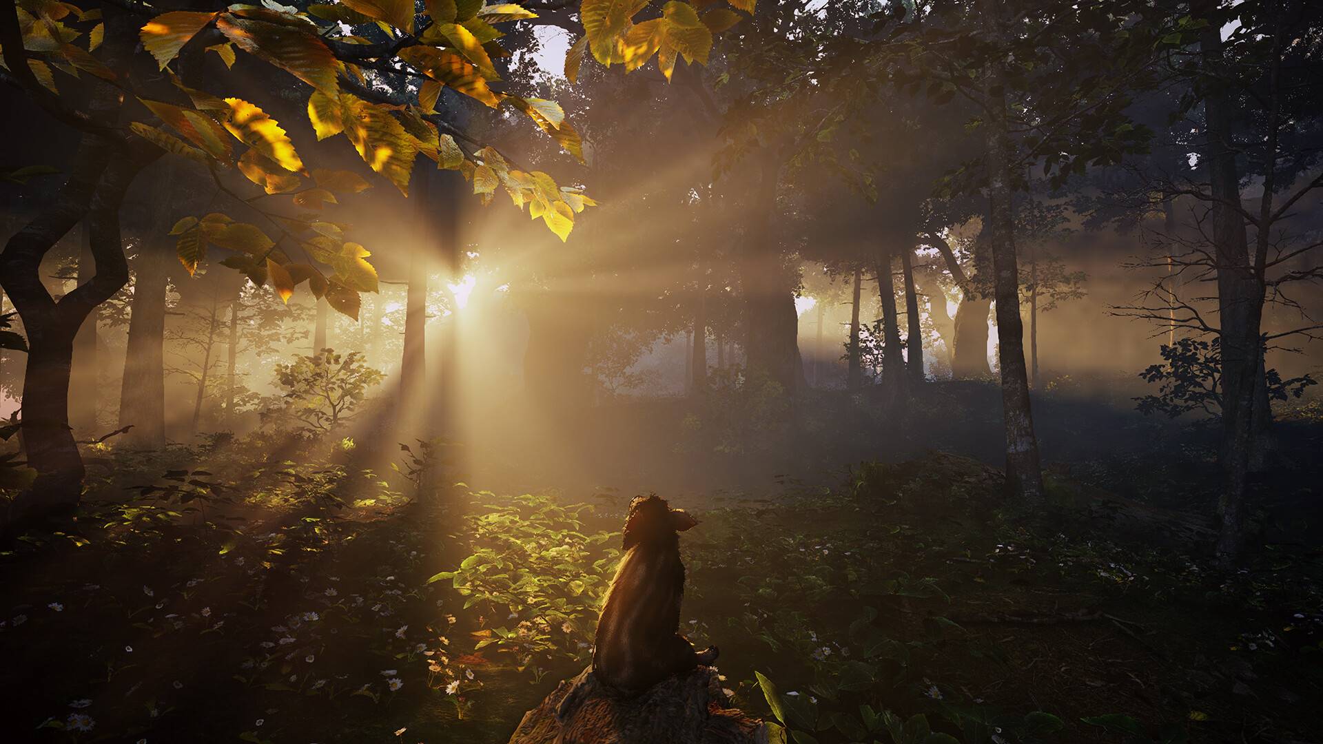 Adorable Adventures Screenshots Bilder