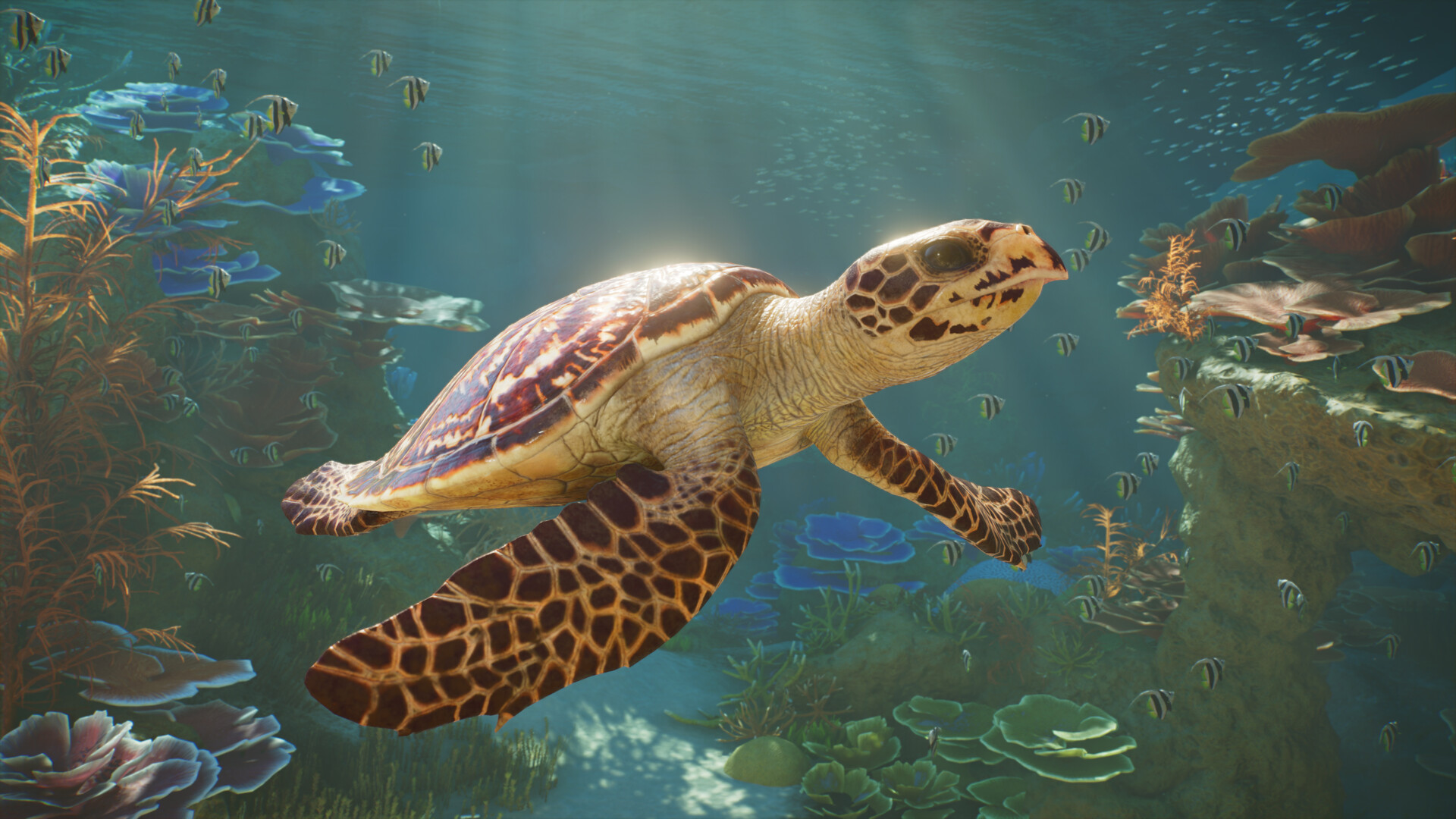 Planet Zoo 2 Screenshots Bilder