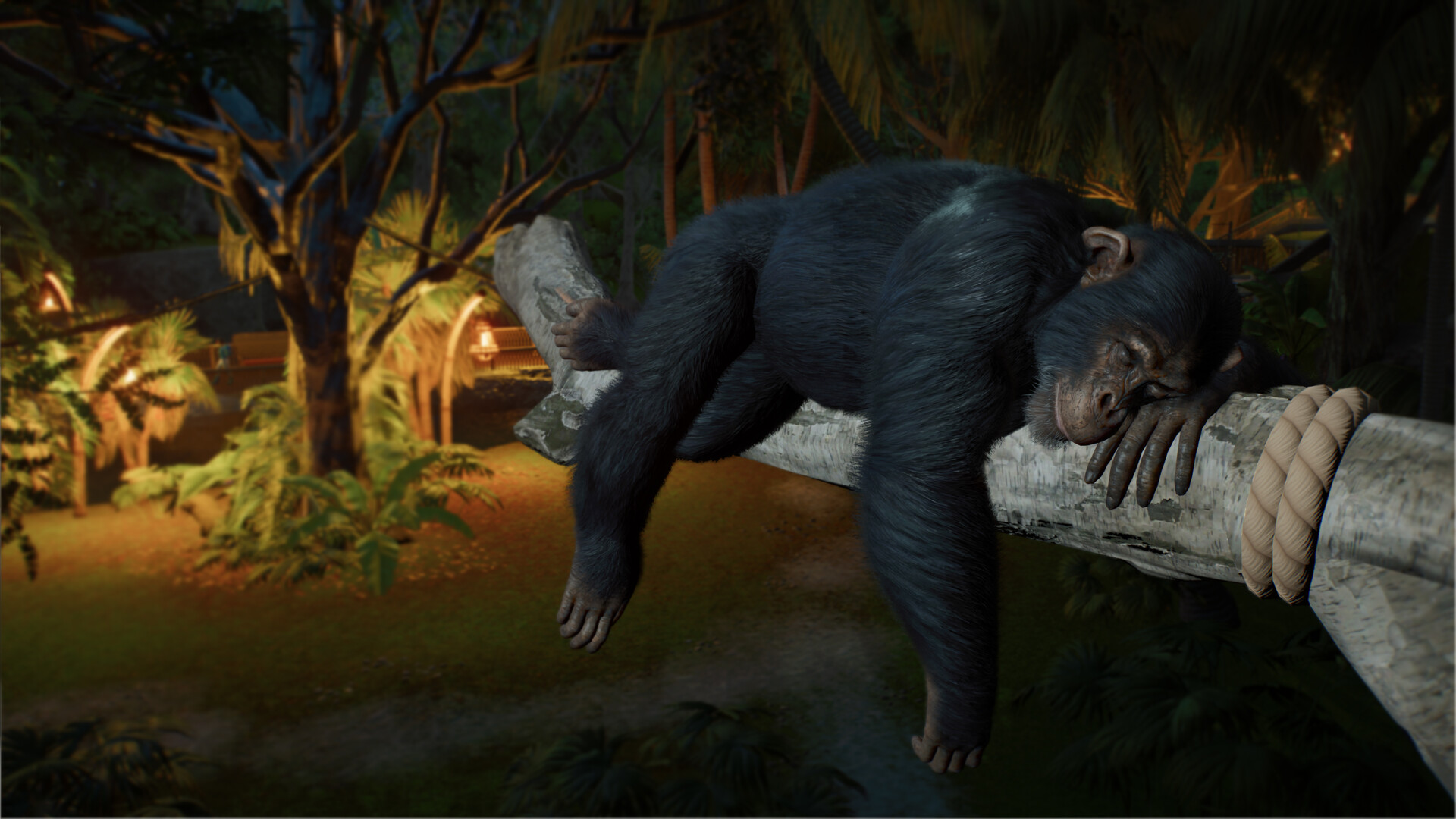 Planet Zoo 2 Screenshots Bilder