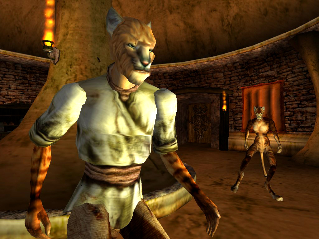 The Elder Scrolls III: Morrowind 